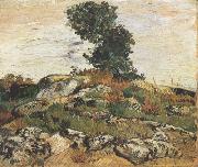 Vincent Van Gogh Rocks with Oak Trees (nn04) oil painting reproduction